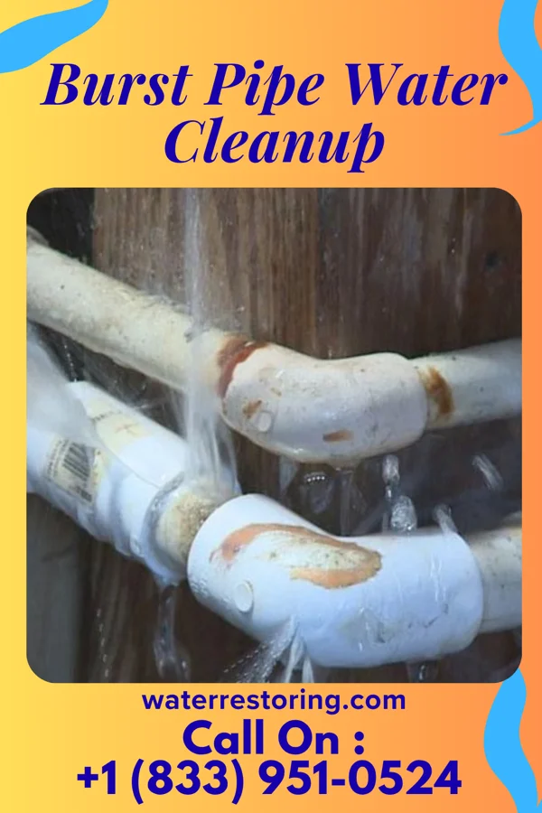 Burst Pipe Water Cleanup in South Wayne, WI