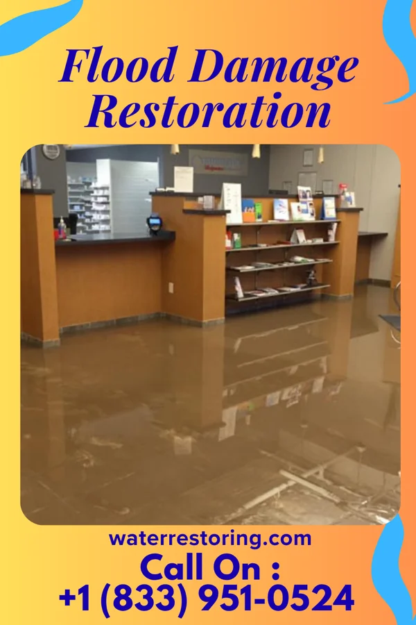 Flood Damage Restoration in South Wayne, WI