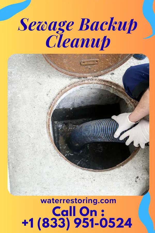 Sewage Backup Cleanup in South Wayne, WI