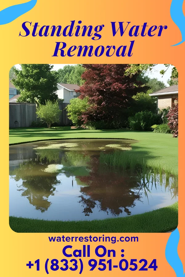 Standing Water Removal in South Wayne, WI